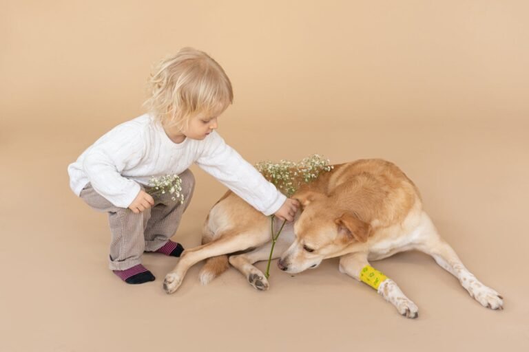 dog breeds for kids