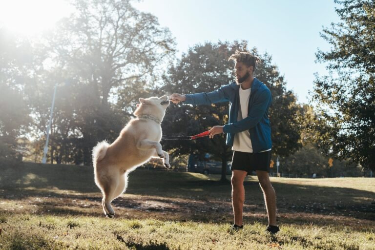 signs of a healthy dog