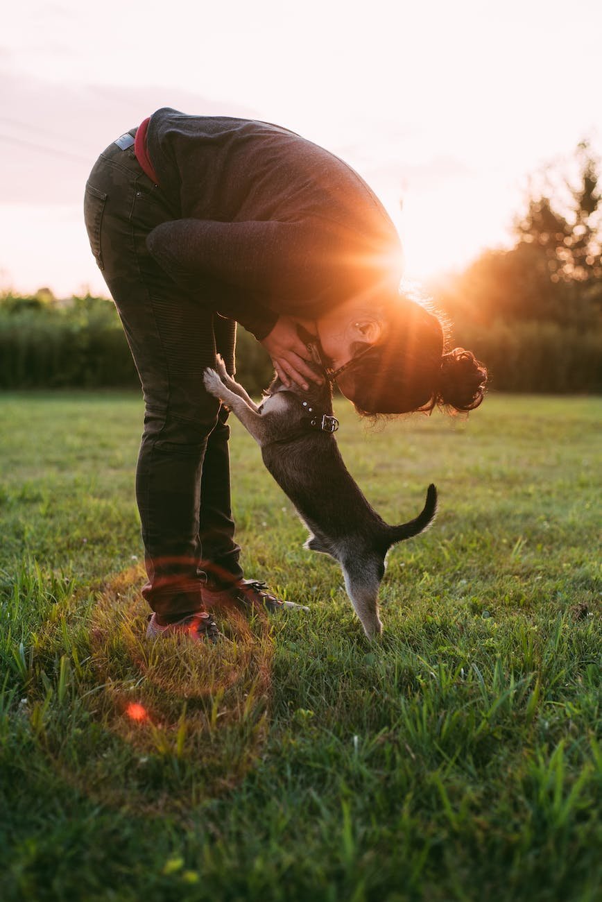 dog health tips