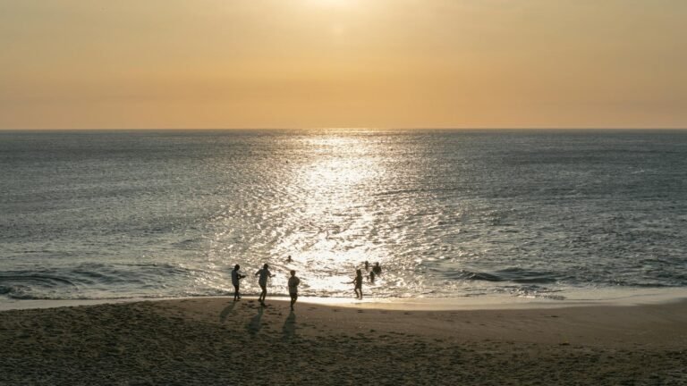 dog-friendly beaches