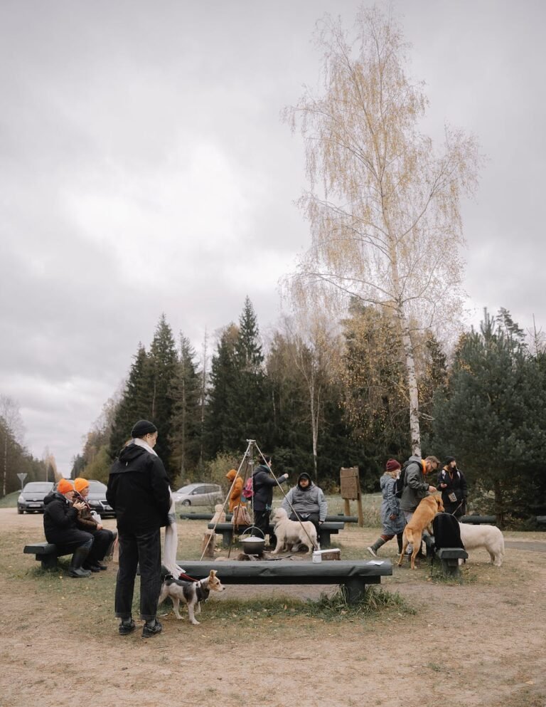 camping with dogs